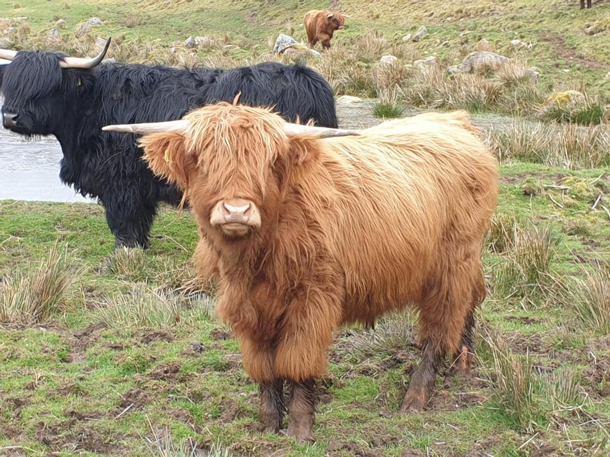 Lorien House B&B Fort Augustus Bagian luar foto